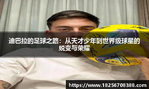 米乐YY易游