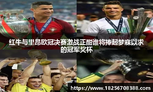 yy易游